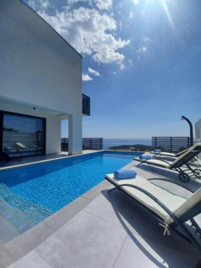 Luxury Villa Andro